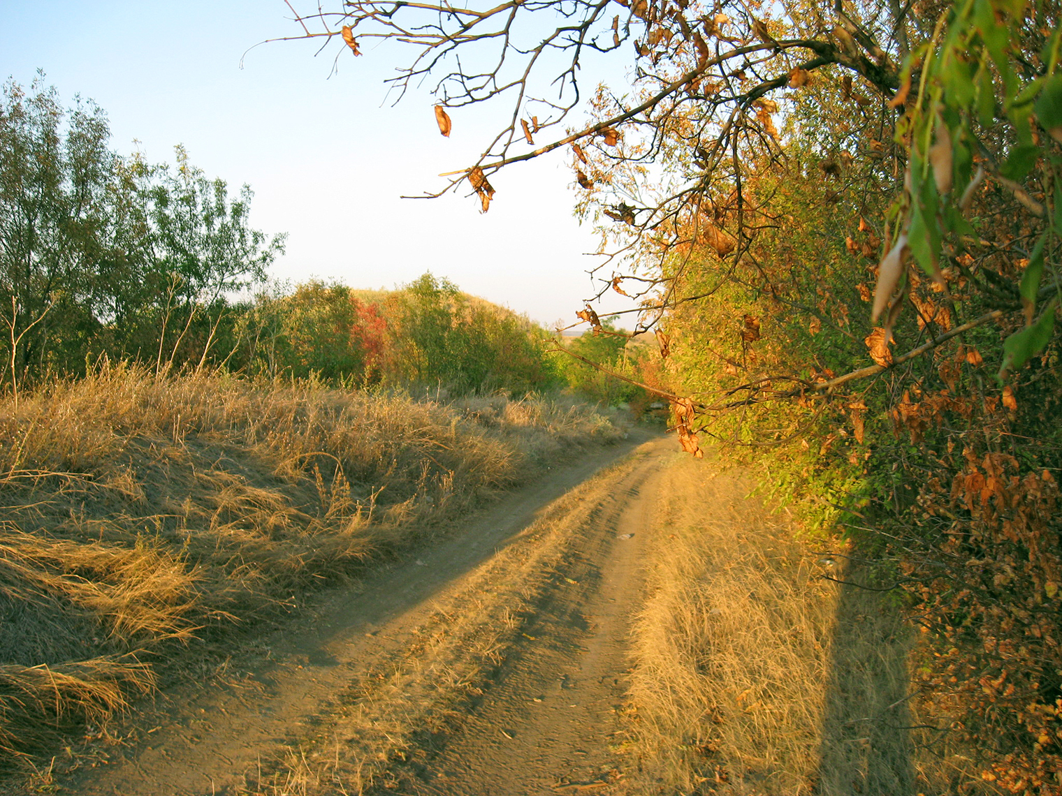Впереди карьеры